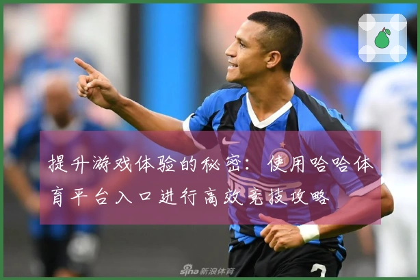 提升游戏体验的秘密：使用哈哈体育平台入口进行高效竞技攻略