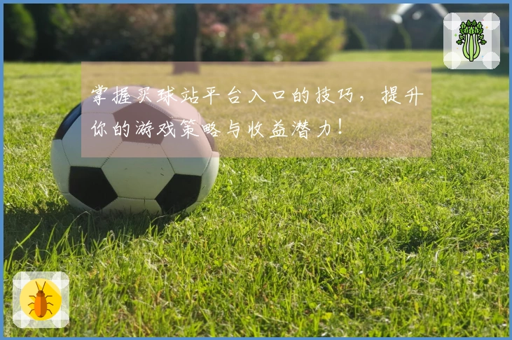 掌握买球站平台入口的技巧，提升你的游戏策略与收益潜力！