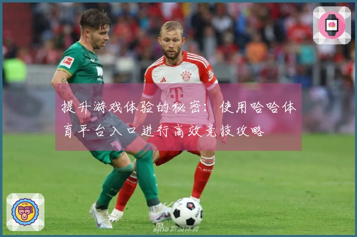 提升游戏体验的秘密：使用哈哈体育平台入口进行高效竞技攻略
